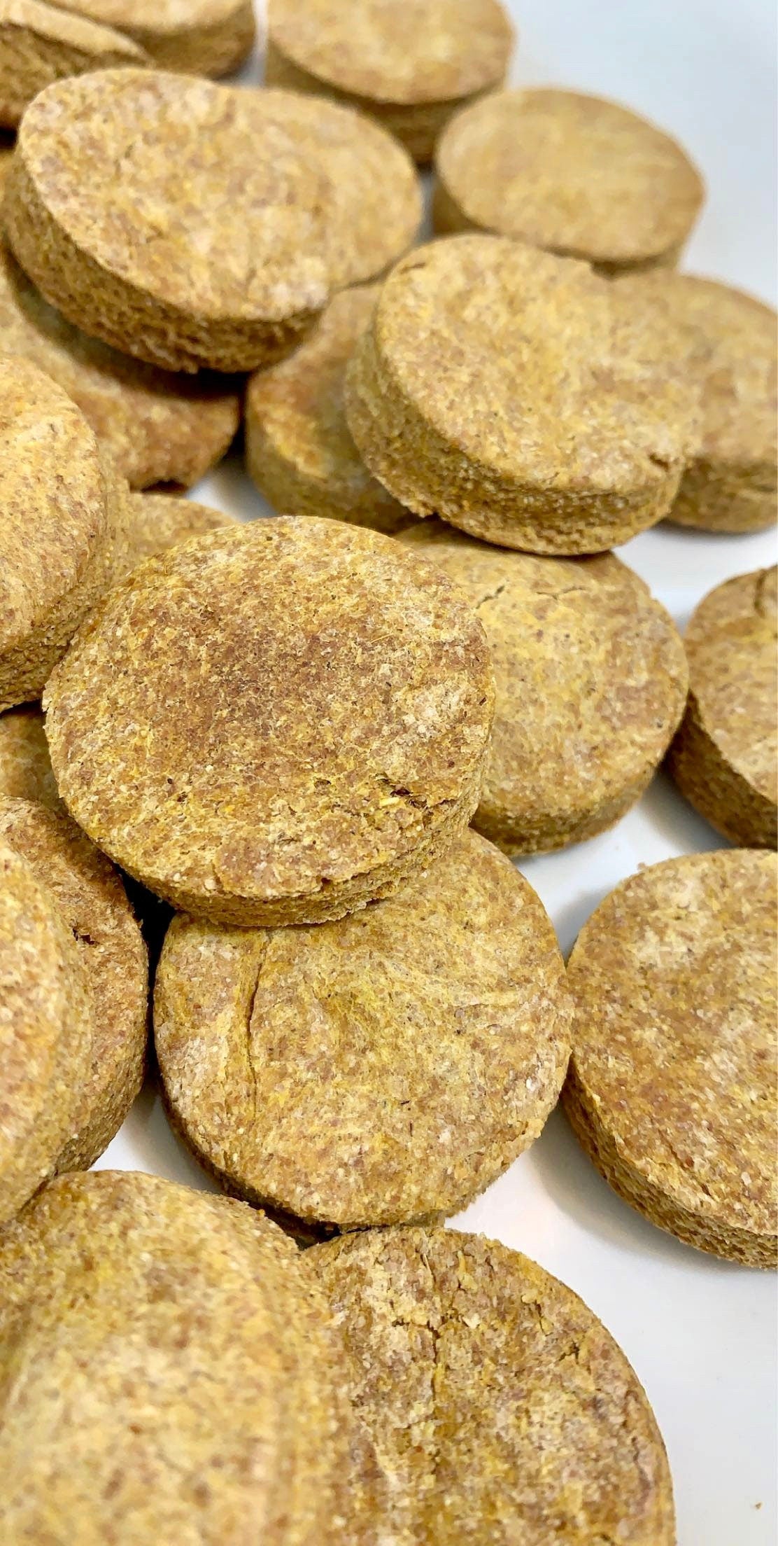 Pumpkin Peanut Butter Dog Treats
