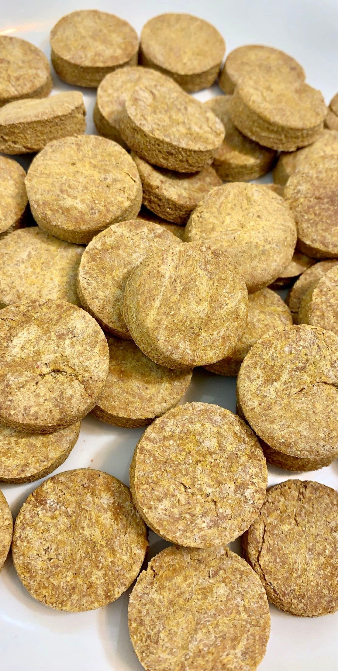 Pumpkin Peanut Butter Dog Treats