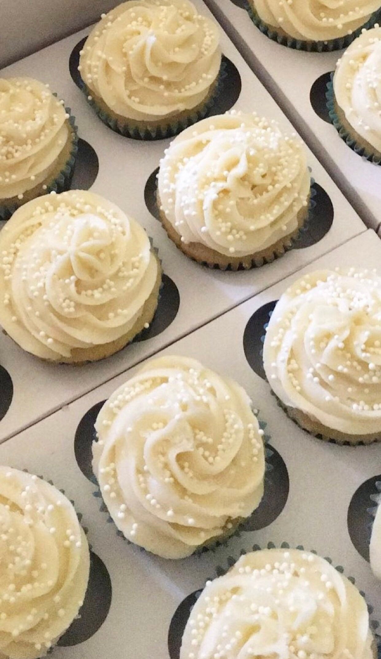 Vanilla Cupcakes